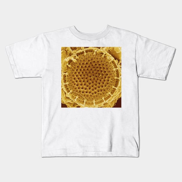 Diatom - Thalassiosira (external, gold) Kids T-Shirt by DiatomsATTACK